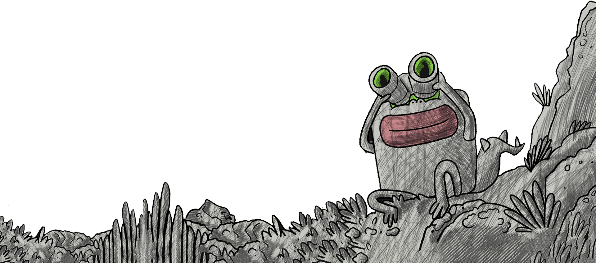 Frog peeking from grass